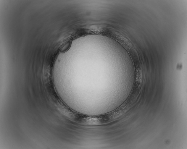X0000097600518200803141919