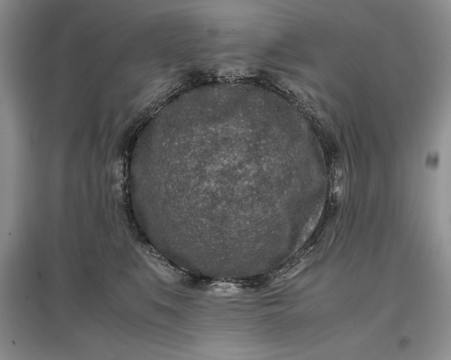 X0000097600519200803141919