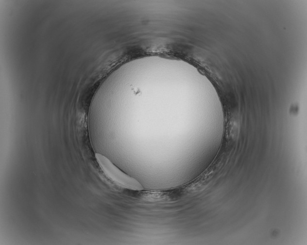 X0000097600521200803141919