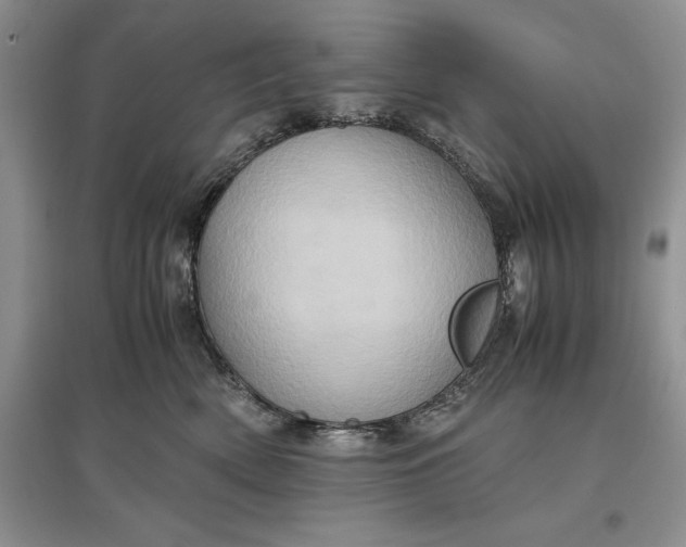 X0000097600522200803141919
