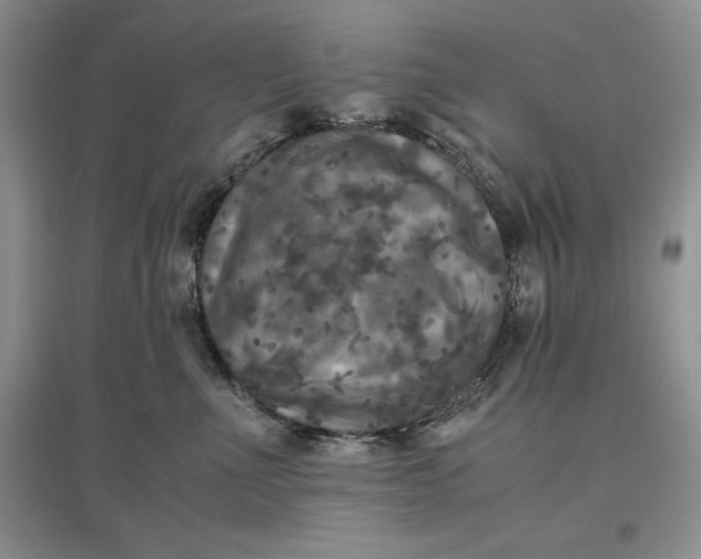 X0000097600523200803141919