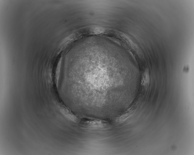 X0000097600524200803141919