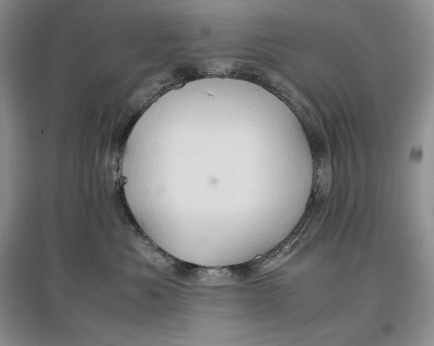 X0000097600525200803141919