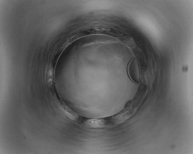 X0000097600526200803141919