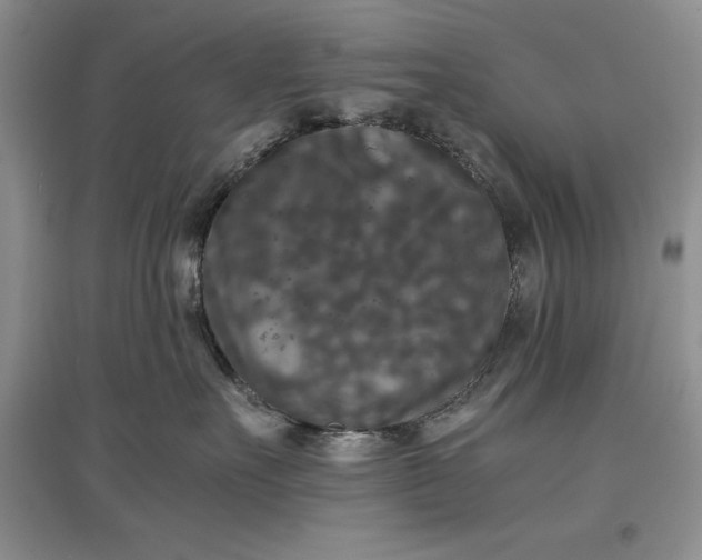X0000097600527200803141919