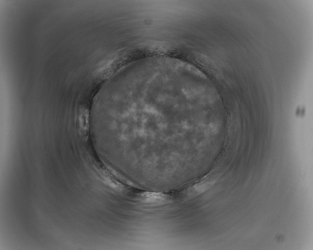 X0000097600528200803141919
