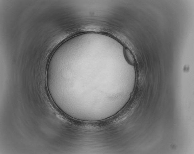 X0000097600529200803141919