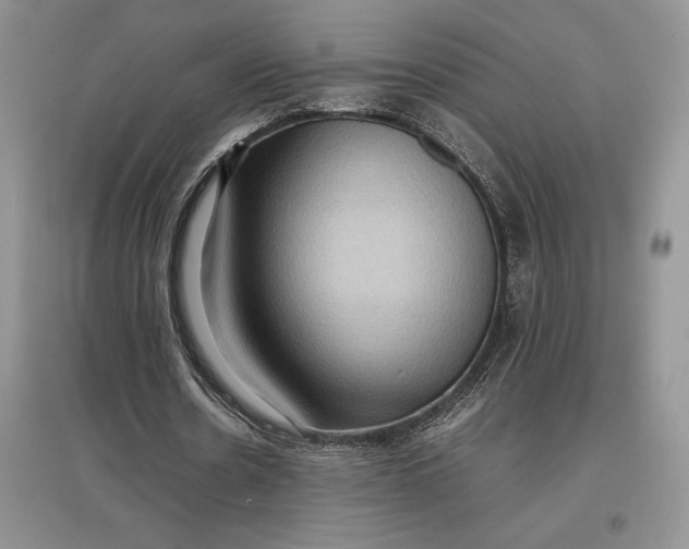 X0000097600530200803141919