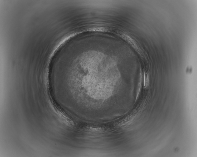 X0000097600531200803141919