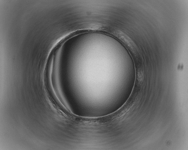 X0000097600532200803141919