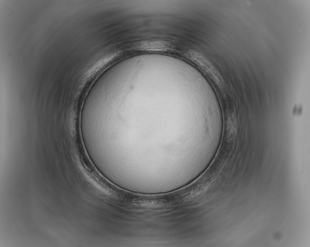 X0000097600533200803141919