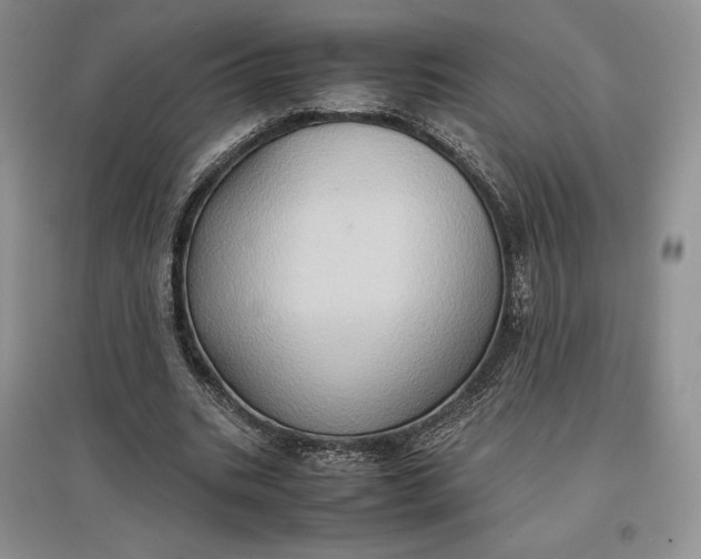 X0000097600535200803141919