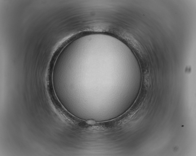 X0000097600536200803141919