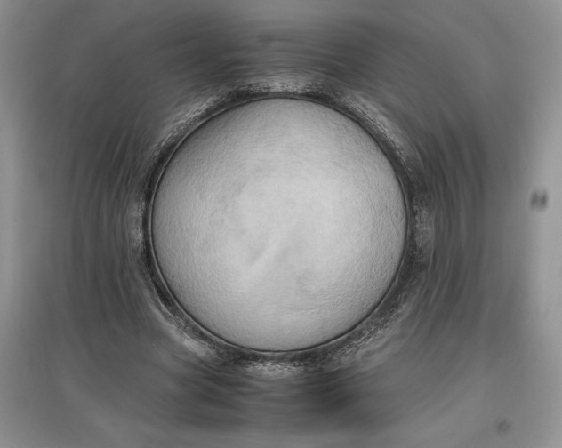 X0000097600537200803141919