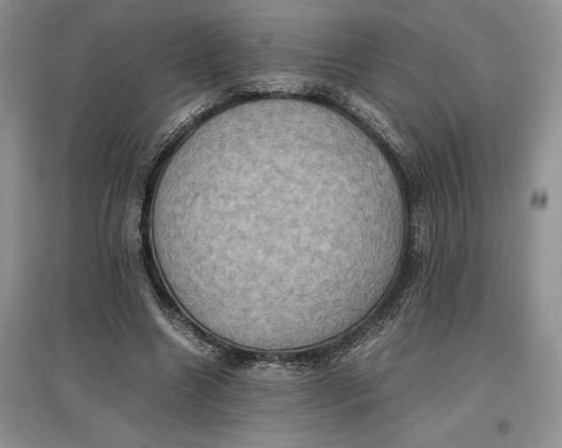 X0000097600538200803141919