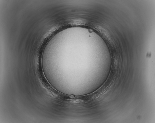 X0000097600539200803141919