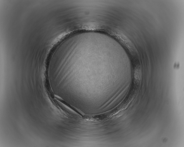 X0000097600540200803141919