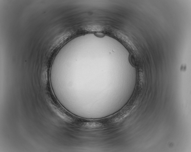 X0000097600541200803141919