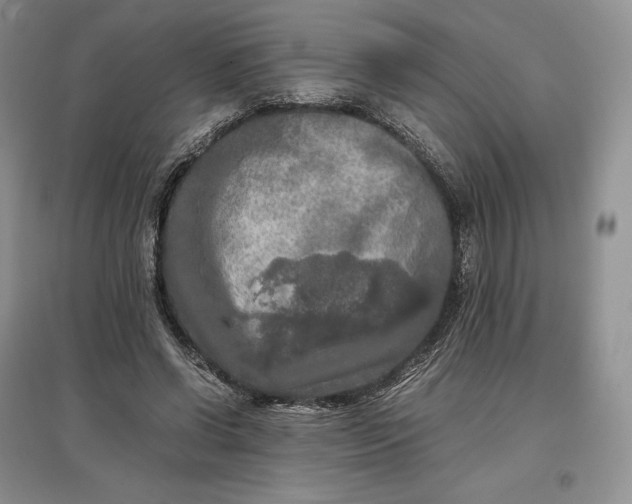 X0000097600542200803141919