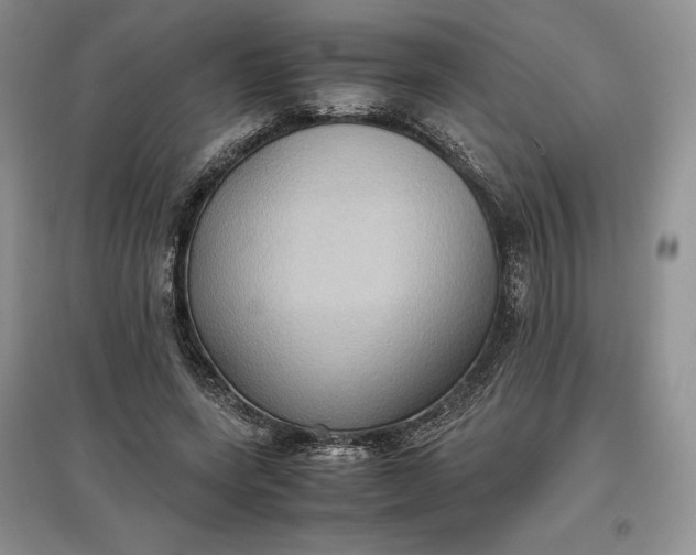X0000097600543200803141919