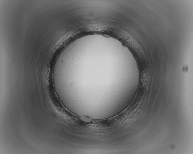 X0000097600544200803141919