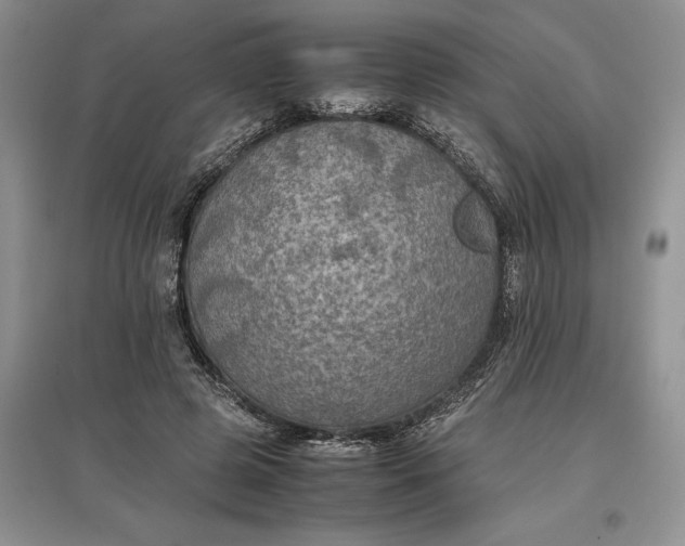 X0000097600545200803141919