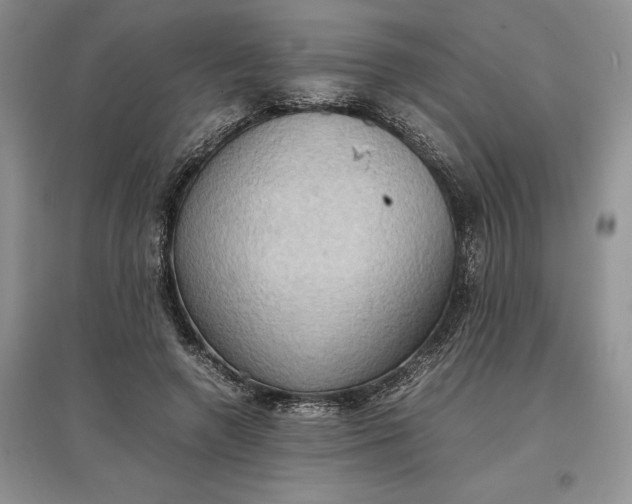 X0000097600546200803141919