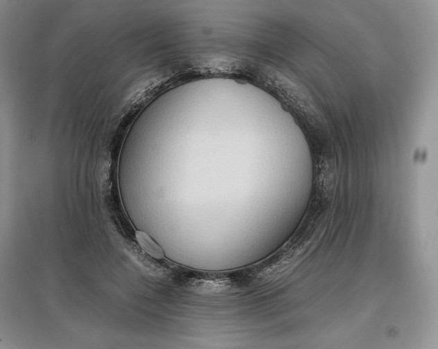 X0000097600548200803141919