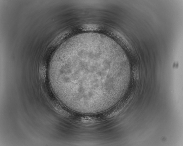X0000097600549200803141919