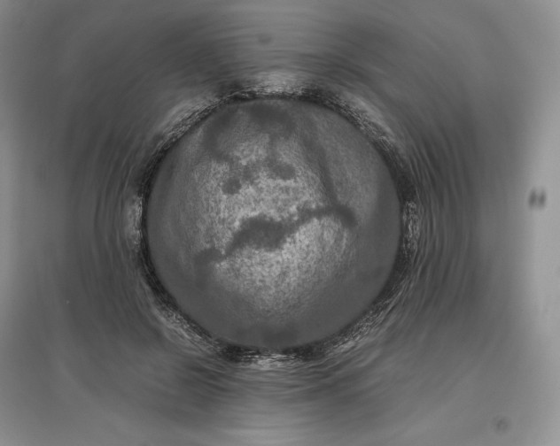 X0000097600550200803141919