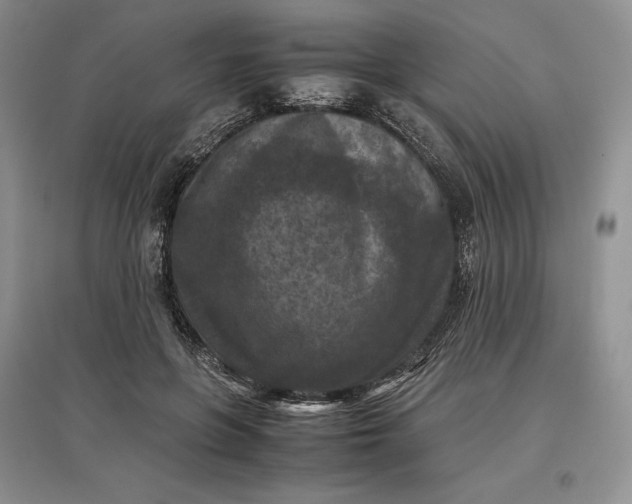 X0000097600551200803141919