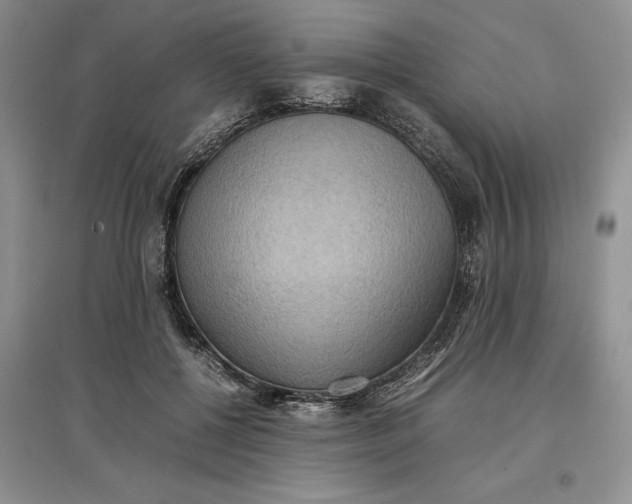 X0000097600552200803141919