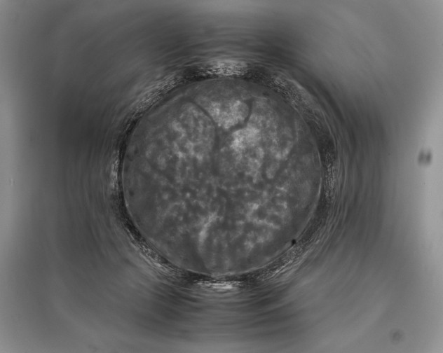X0000097600553200803141919