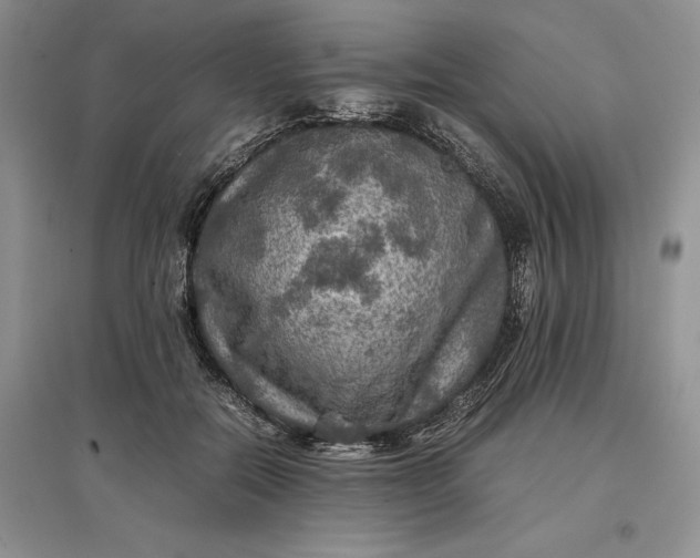 X0000097600554200803141919