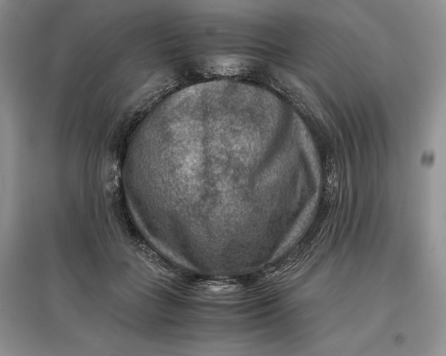 X0000097600555200803141919