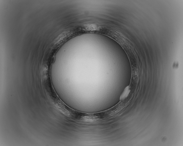 X0000097600556200803141919