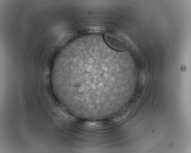 X0000097600557200803141919