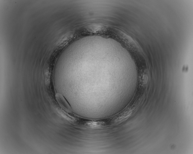 X0000097600558200803141919