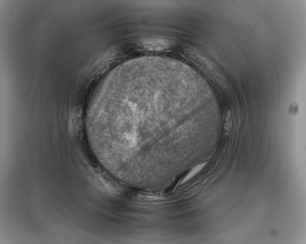 X0000097600559200803141919