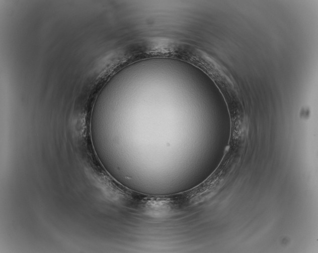 X0000097600560200803141919