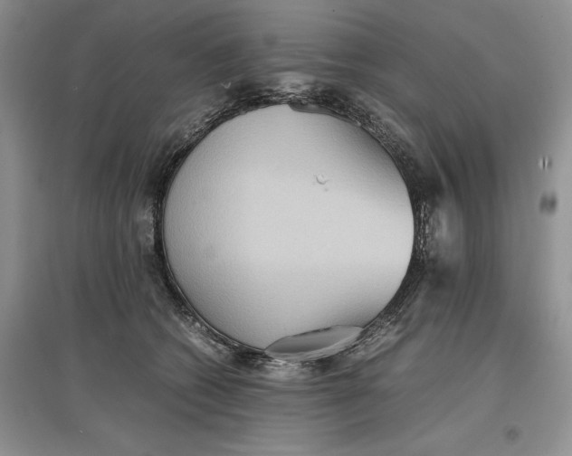 X0000097600562200803141919