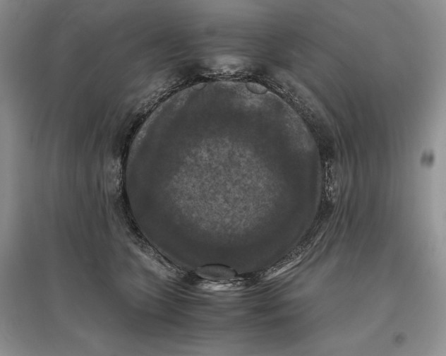 X0000097600563200803141919