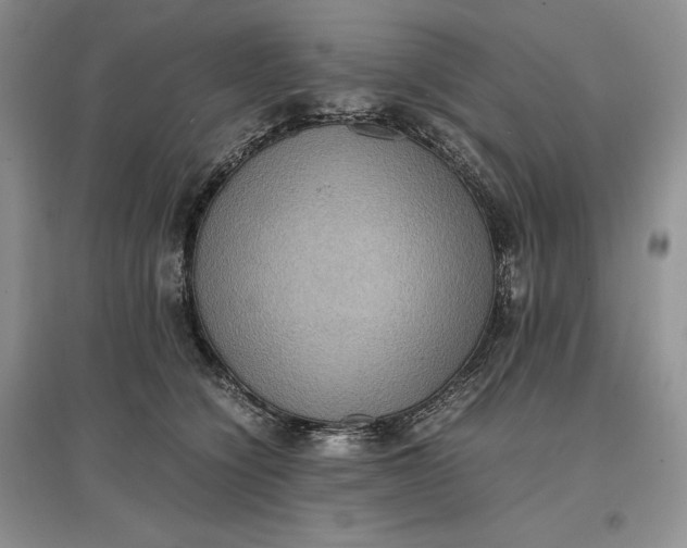 X0000097600564200803141919