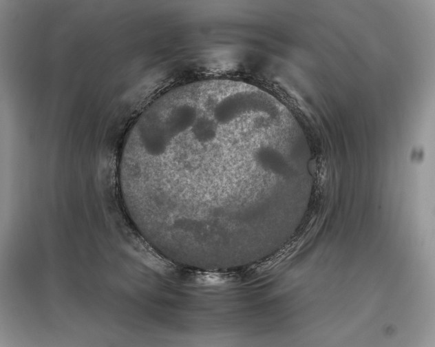 X0000097600565200803141919