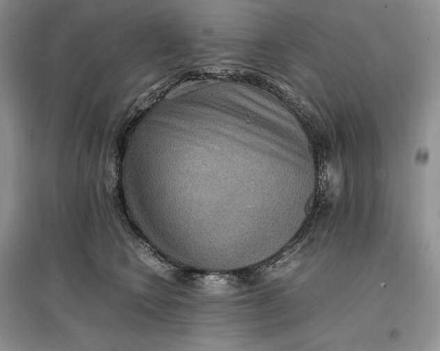 X0000097600566200803141919