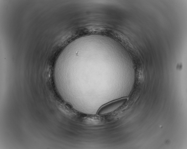 X0000097600567200803141919