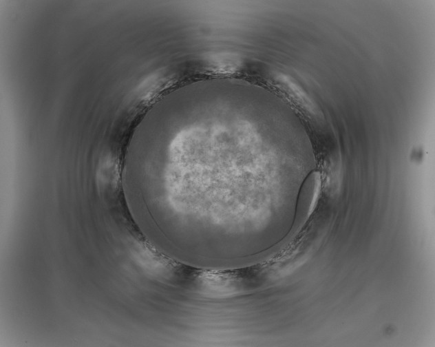 X0000097600568200803141919