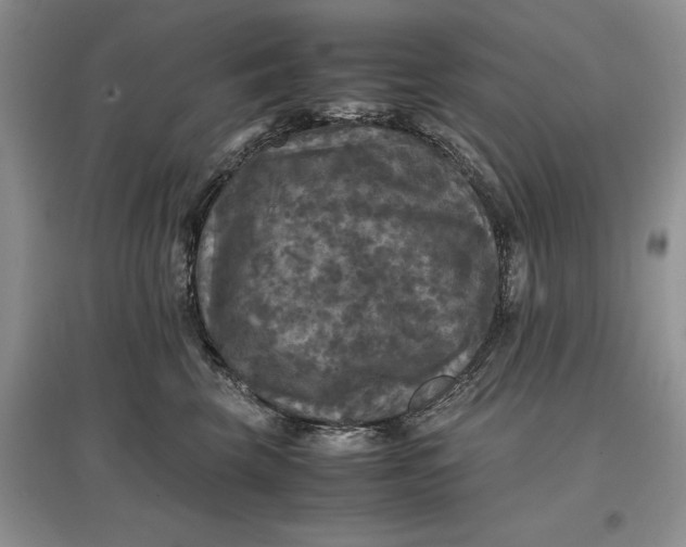 X0000097600569200803141919