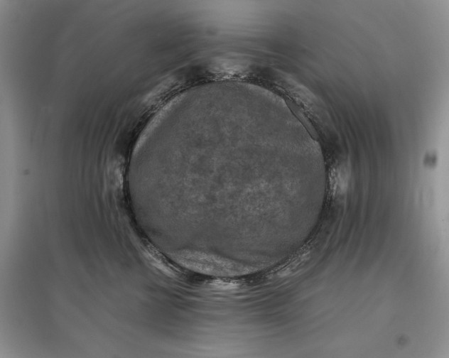 X0000097600570200803141919