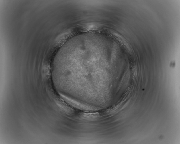 X0000097600571200803141919